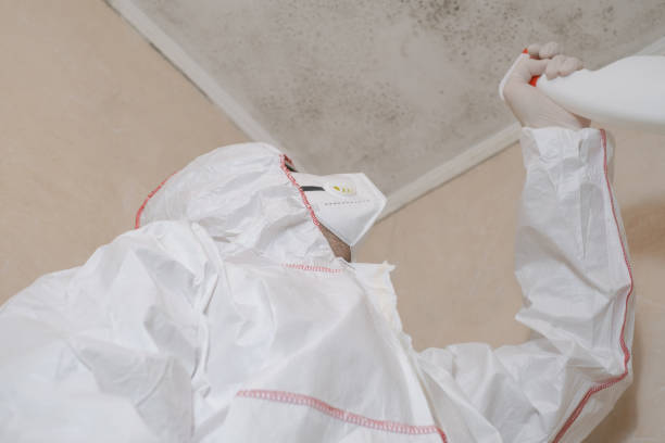 Best Mold Removal Process  in Lacoste, TX